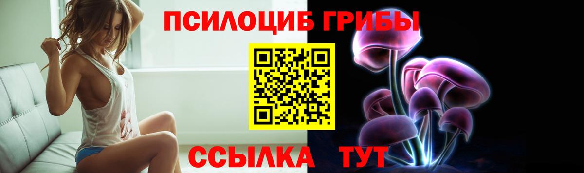 Псилоцибиновые грибы GOLDEN TEACHER Белово